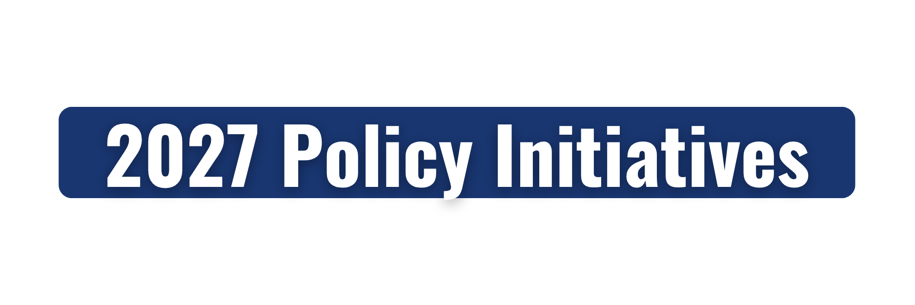 2027 Policy Initiatives