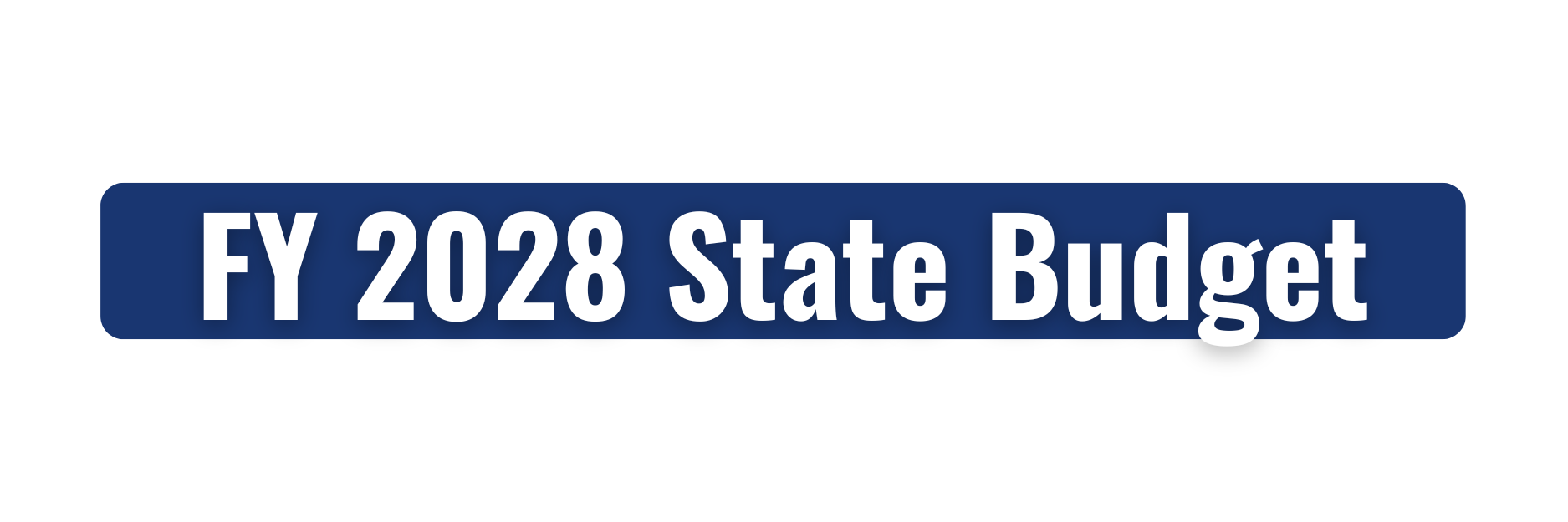 FY 2028 State Budget FY 2028 State Budget
